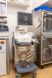腹部超音波検査（エコー検査）　西京の森どうぶつ病院