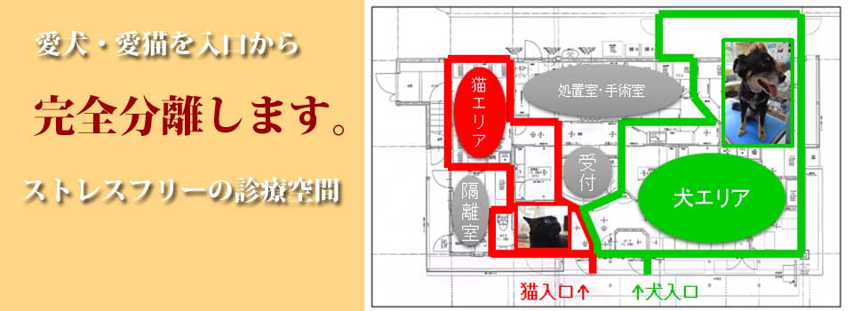 犬エリアと猫エリアを動物病院入口から入院室まで完全分離