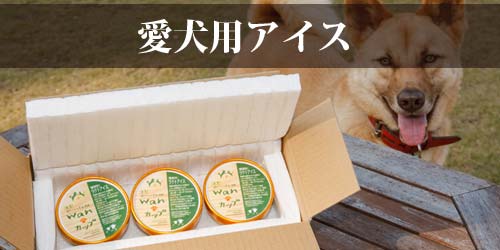 山口県山口市の動物病院発 犬用のアイスクリーム